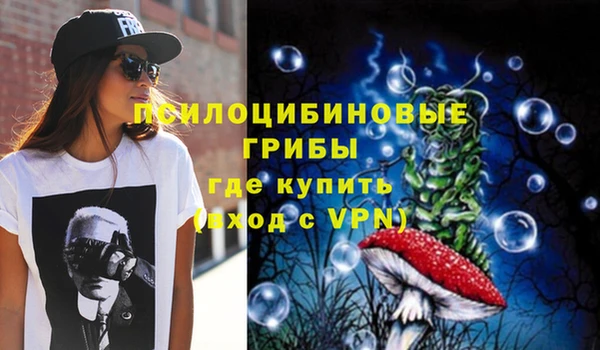 соль ск Алексеевка