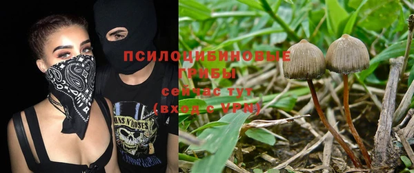 сатива Алексин