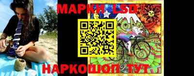 амф Гусев