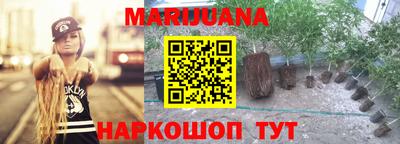 индика Гусь-Хрустальный