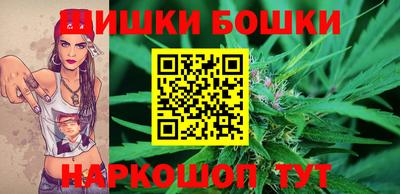 индика Гусь-Хрустальный