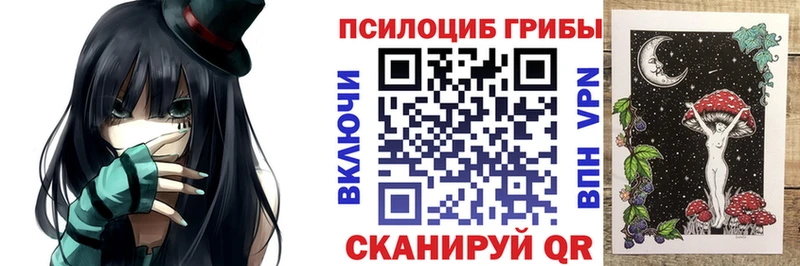 blacksprut маркетплейс  что такое   Ржев  Псилоцибиновые грибы Psilocybine cubensis 