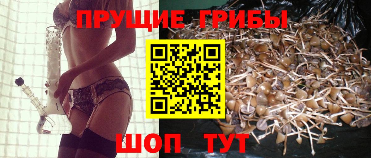 Псилоцибиновые грибы мицелий Ржев